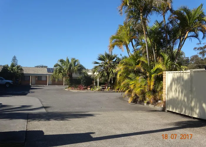 Palms